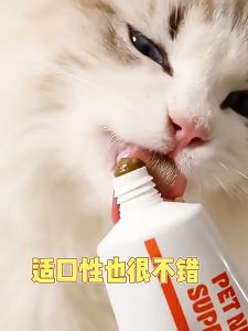 Pet Nutritional Supplements Hair Care Immunity Boosting Treats
