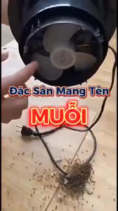 Đèn Bắt Muỗi Rạng Đông Công Suất 5W DBM01 Không Gây Tiếng Ồn Không Tạo Mùi Khét Dễ Sử Dụng