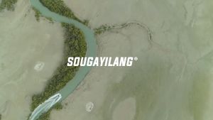 Sougayilang kesejahteraan COD Stok Lokal Alat Gulungan Pancing Baitcasting Reel 2 Warna Reel Pancing Sistem Rem Magnet Bantalan Bola 17 + 1 Rasio Gir 7.1:1 Untuk Memancing Di Air Asin Dan Air Tawar