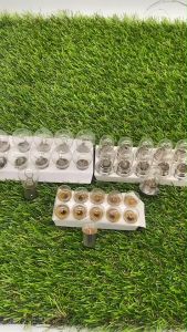 หลอดไฟมอเตอร์ไซค์ (t19 12v25wหน้าs25 12v21wท้ายG18 12v10wเลี้ยว) (ขายเป็นกล่อง)