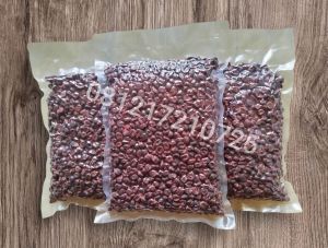 Benih Jagung Pulut ungu/ketan ungu