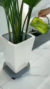 Kệ Lót Chậu Cây Có Bánh Xe Và Khay Hứng Nước Tiện Lợi chịu lực 80kg có khay hứng nước tiện lợi- Đế lót chậu hoa di động- Đế kê chậu cây chậu hoa