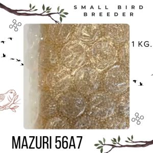 Mazuri 56A7 Small Bird Breeder Food, 1 KG (มาซูริอาหารนกปากขอขนาดเล็ก สูตรเพาะขยายพันธุ์ พิเศษ 1 กิโลบ่า), พร้อมส่ง