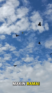 RC Plane Burung RC Kapal RC Flying Bird 2.4GHz Remote Control E-Bird Butterfly Pigeon PhoenixParrot