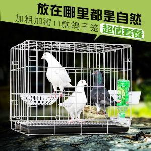 Large Size Pigeon Cage New Type Breeding Coop Wooden Body Iron Wire Door Pet Pigeon House with Anti-Escape Design Home Use