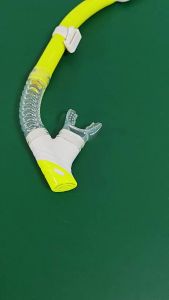 Adults Dry Snorkel Set