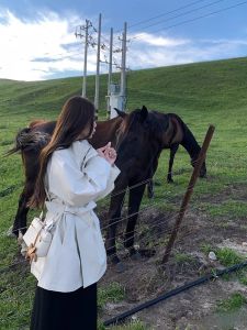 เสื้อแจ็คเก็ตทรงเข้ารูปสั้นสำหรับผู้หญิงไซส์ใหญ่ ฤดูใบไม้ร่วง 2025 ดีไซน์สไตล์เกาหลี ทรงหลวม ปกติ แขนยาว ปกติ