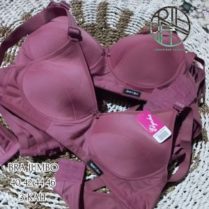 Bra Bh Wanita Dewasa Jumbo Ukuran 46 44 42 40 Busa  Tipis 3 Cup Pengencang Jawahirah fashion