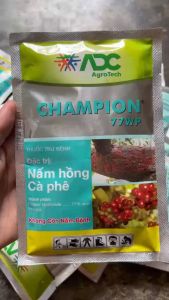 Champion trừ nấm hồng mai vàng Champion 77WP chuyên nấm hồng. Hiệu quả loại bỏ nấm vi khuẩn trên Mai vàng