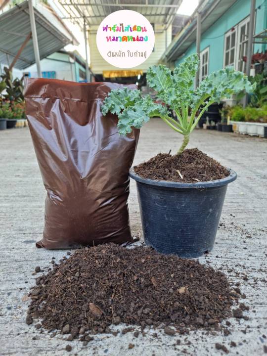 ดินปลูกใบก้ามปู D007 ผสมมูลไส้เดือนและปุ๋ยคอก