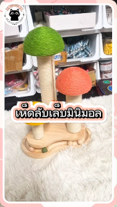 🍄เห็ดรวม3สี เห็ด เสาลับเล็บแมว ของเล่นแมว ที่ลับเล็บแมว รางบอลแมว🍄