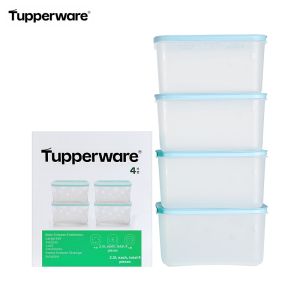 Tupperware | Freezer and Refrigerator Sealable Container 2.5L