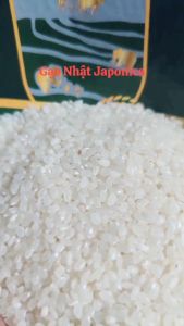 Gạo Nhật Japonica TPI Group - Gạo Nhật Cao Cấp Cơm Dẻo Mềm Giàu Dinh Dưỡng