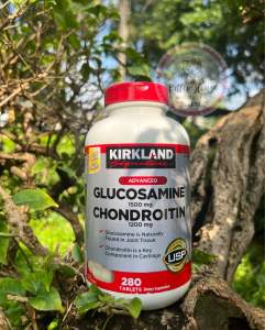 Viên uống bổ khớp Glucosamine 280 viên Kirkland Mỹ