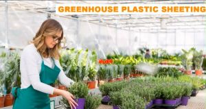 Shed Plastic Cover PE Plastic (Grade A) for 120/150 microns Greenhouse Roof Waterproofing