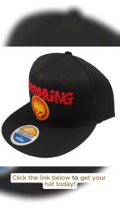 THE OFFSPRING BAND SNAPBACK BLACK CAP