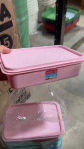 Tempat Bekal Anak 3 Sekat: Kotak Makan Anak Tahan Air & Lunch Box Plastik Warna