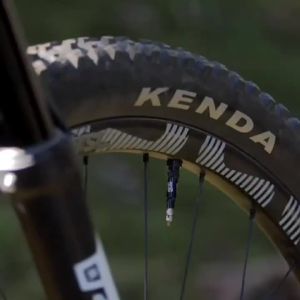 Kenda | Mountain Bike Tire