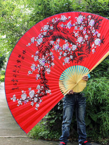 Red Plume Stage Decorative Fan