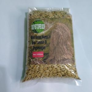 benih bibit padi huma darat per bungkus