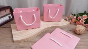 5/10/20Pcs Pink Gift Bags with Rope Handles Small Paper Bags for Wedding Birthday Party Business 3.9x4.7x2.4 Inch (10x12x6 cm)