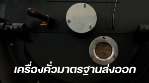 RT เมล็ดกาแฟ โรบัสต้า Robusta คั่วเข้มมาก French Roast เกรดส่งออก ขนาด 500 กรัม จากจังหวัดเชียงราย คั่วใหม่ทุกวัน ส่งออกทุกเช้า