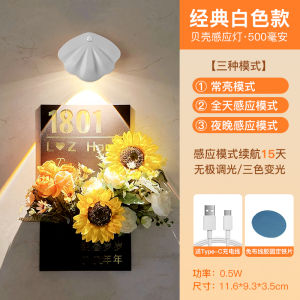 Wireless Human Intelligent Induction Wall Shot Lamp for Hallway Corridor Stairway Charging Home Use Night Lighting LED Light
