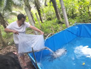 กระชังเลี้ยงปลา ฯ หนาพิเศษ 1.5×2×.5 m ✨ลดราคา  ✨สำหรับ กุ้ง หอย ปู ปลาดุก ปลาหมอ แหน✨ใช้งานสะดวกอายุงานนานกว่า 2 ปี✨ไม่ใช่ผ้ากระสอบ ไม่ต้องเคลือบ✨ พลาสติกฉีดขึ้นรูปชิ้นเดียวน้ำไม่ซึม💯🥇อ่างเลี้ยงปลา กระชังใส่ปลา ผ้าใบและอุปกรณ์ 🥇