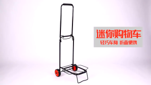 Heavy Duty Multifunction Foldable Lightweight & Durable Grocery Push Cart Trolley (Small)
