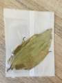 Bay Leaves ใบเบย์. 