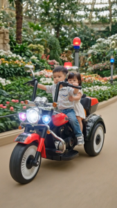 Japan Classic Vintage Electric Ride-On Cruiser Trike | 3-Wheel Harley-Style Motorcycle Toy for Kids