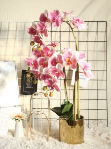 Bàn Phím Hoa Cúc Bướm Ẩm Thực Trang Trí Nội Thất Hoa Giả Sang Trọng Nhẹ Nhàng Trang Trí Khách Sạn Hoa Trong Nhà