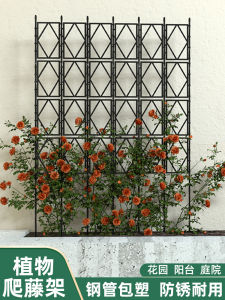 Giá Đỡ Hoa Leo Ngoài Trời Đơn Giản Giá Đỡ Lưới Hoa Hồng Giá Đỡ Cây Trong Sân Vườn Giá Đỡ Tường Bằng Nhựa Giá Đỡ Hoa