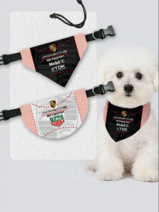 LEXI | Race Car Themed Pet Bandana