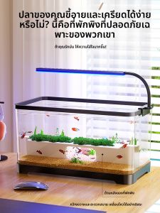 HUICHONG | Living Room Small Aquarium Filtering Oxygenating Hiding Habitat