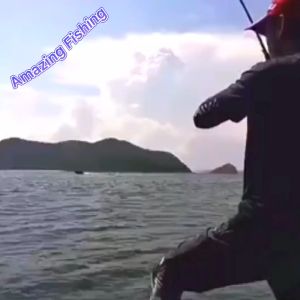 SUKE Fishing Lure: A Comprehensive Guide to Luminous Bait & Squid Jigs