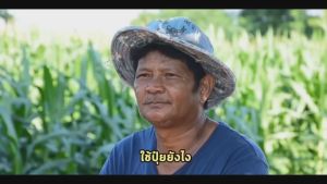 🔥🔥 ส่งฟรี 🔥🔥 แกรมม่าทู จอมยุทธ์ ( 500 ซีซี ) ปุ๋ยน้ำแกรมม่าทู + เอมม่า ปุ๋ยน้ำเอมม่า ( 500 ซีซี ) + เอฟอช Aforch ( 100 ซีซี ) สารจับใบ ของแท้ 100%