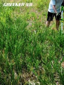 Greener | Máy Cắt Cỏ Cầm Tay Sử Dụng Pin