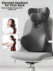 CHUYISHENG | Ergonomic Lumbar Support Cushion For Prolonged Sitting