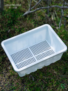 Small Size Thickened Plastic Seedling Tray Dish for Succulent Plant Propagation Long Pot Misting Cultivation Cover