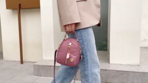 colorful fox 2221 Tas selempang 2221 colorful fox nilon anti air tas selempang wanita import slingbag wanita women bag tas korea cantik tas brand tas tahan air tas hp tas fashion women bag women fashion bag women style bag women livestyle bag
