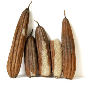 Clean Old Gourd Rind with Skin Kitchen Home Use Pot Cleaning Brush Whole Gourd Net Cloth Scrubber Durable Household Cleaning Tool