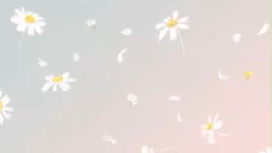 Sốt Nướng Muối Ớt - Xốt Ướp Gia Vị Ướp Hải Sản Thịt Gà Bò Heo Cao Cấp Siêu Ngon (300gr - 500gr