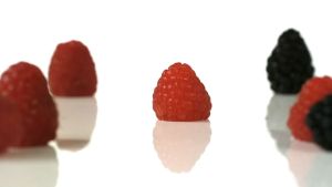 [12-17.12] Voucher Lazada đến 2TR| Máy xay sinh tố cầm tay Bosch MS6CA4150G ErgoMixx 800W 12 tốc độ (trắng)