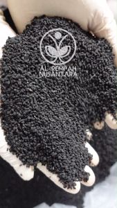 Jintan Hitam - Jinten Hitam Habatussauda Grade A 100gr Murah