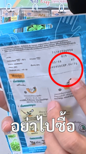 เมล็ดผัก เจียไต๋ OP ซองละ 8-12 บาท ซื้อ 10 แถม 2 จัดส่งทุกวัน