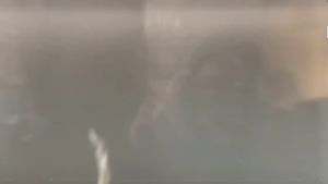 10pcs Umpan Softlure 1.7g/27g Panjang 6cm/8cm Soflure Killer bahan Silicon Lembut SL06