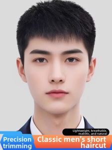 WEIWEI | Natural Short Mens Full Wig Stylish Natural Puffed Breathable Realistic