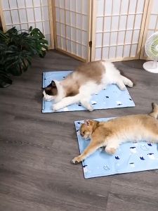 【Natasal】COD ที่นอนเจลเย็น ที่นอนสัตว์เลี้ยง เบาะนอนเย็น เสื่อนั่งสัตว์เลี้ยง เย็นสบาย วัสดุพีวีซีหนา ทําความสะอาดง่าย แมวและสุน