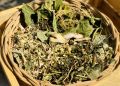 Lá Xông nhà thảo mộc _ Xông nhà tẩy uế trừ tà  chiêu tàu lộc _ gói 100g ( Bồ kết, vỏ bưởi, lá bưởi, xả, quế, gừng khô...). 